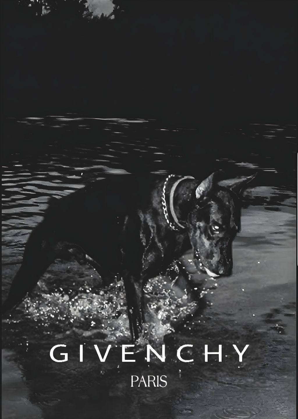Givenchy: Su İçindeki Köpek