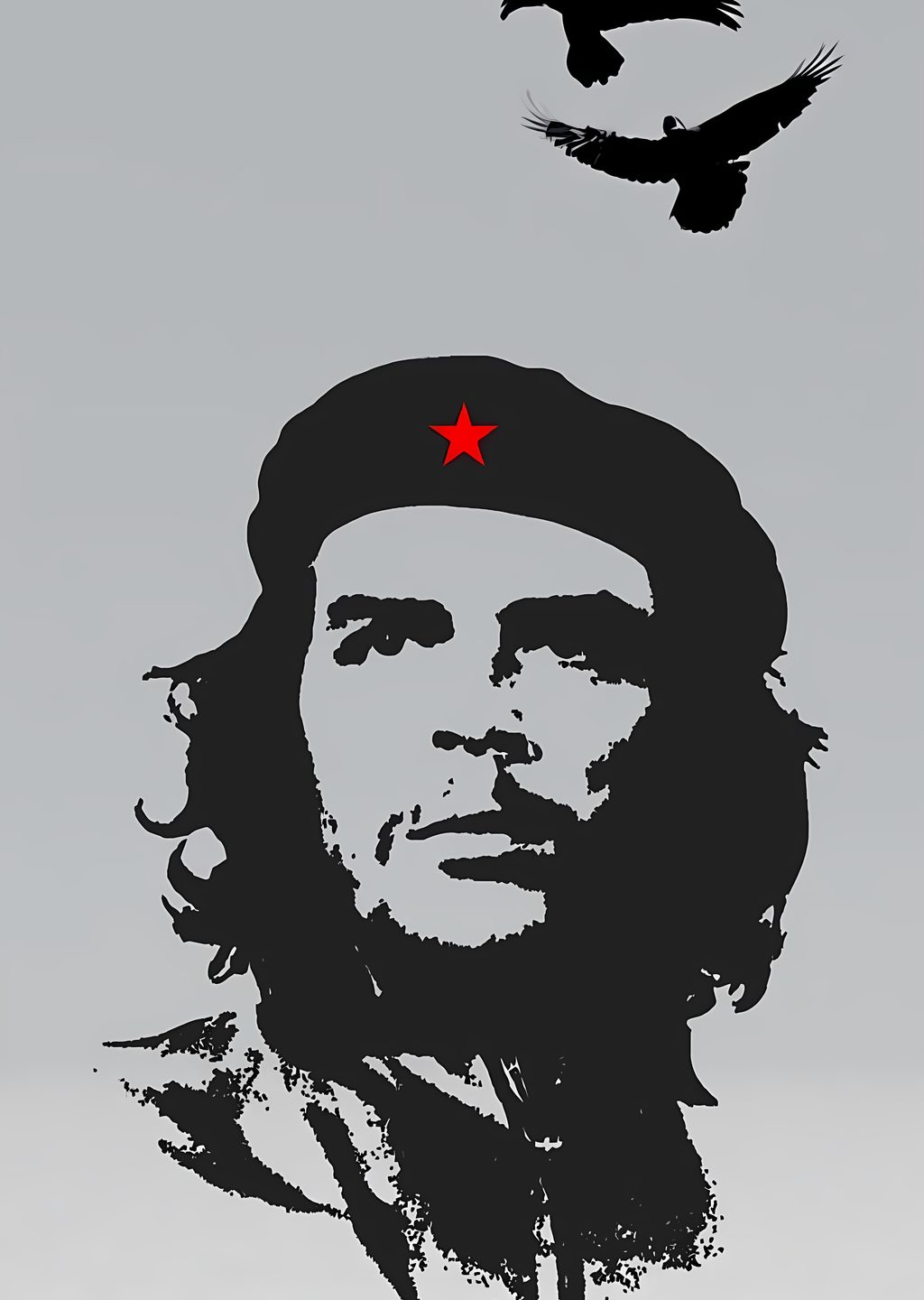 Che Guevara Portresi